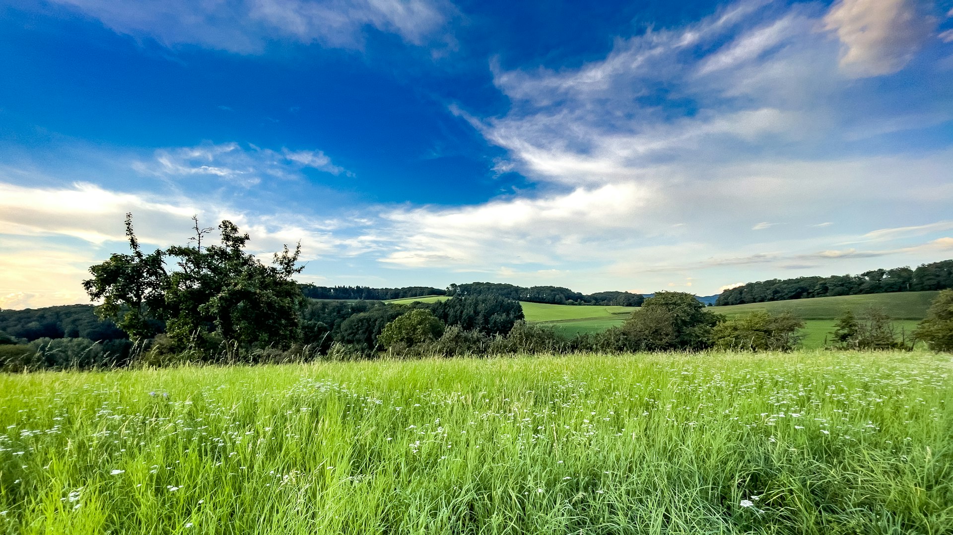 Limburgs heuvellandschap